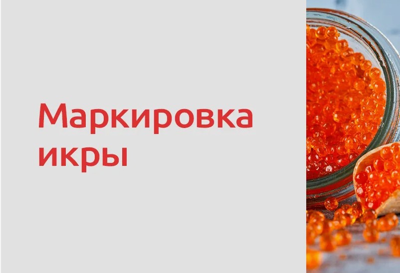 Поэкземплярная прослеживаемость икры осетровых и икры лососевых.