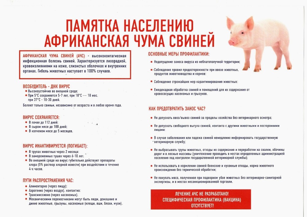 Памятка о неотложных действиях при заболевании и/или падеже животных, и правилах безопасного обращения с биологическими отходами..